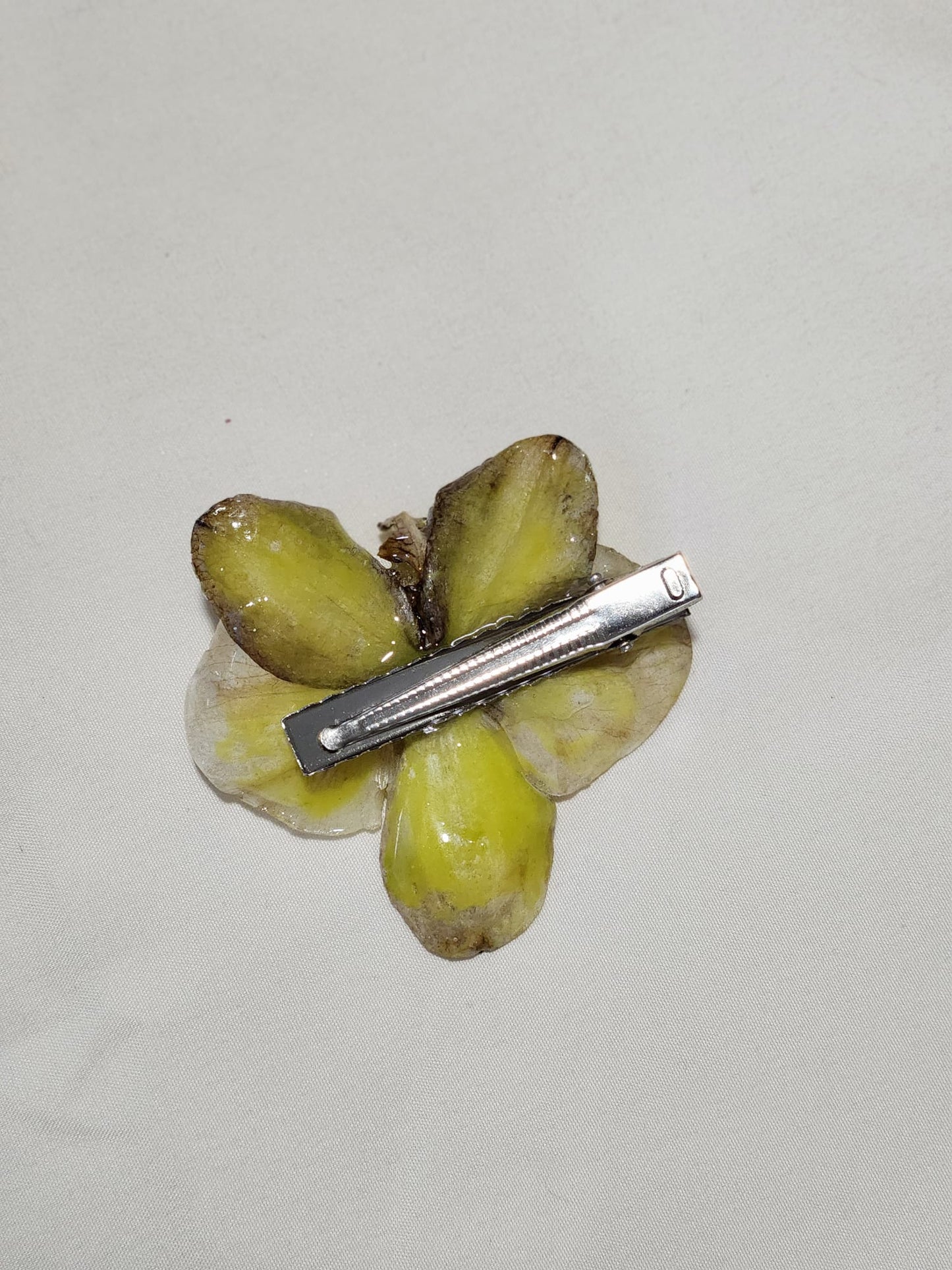 clip de orquídea amarilla