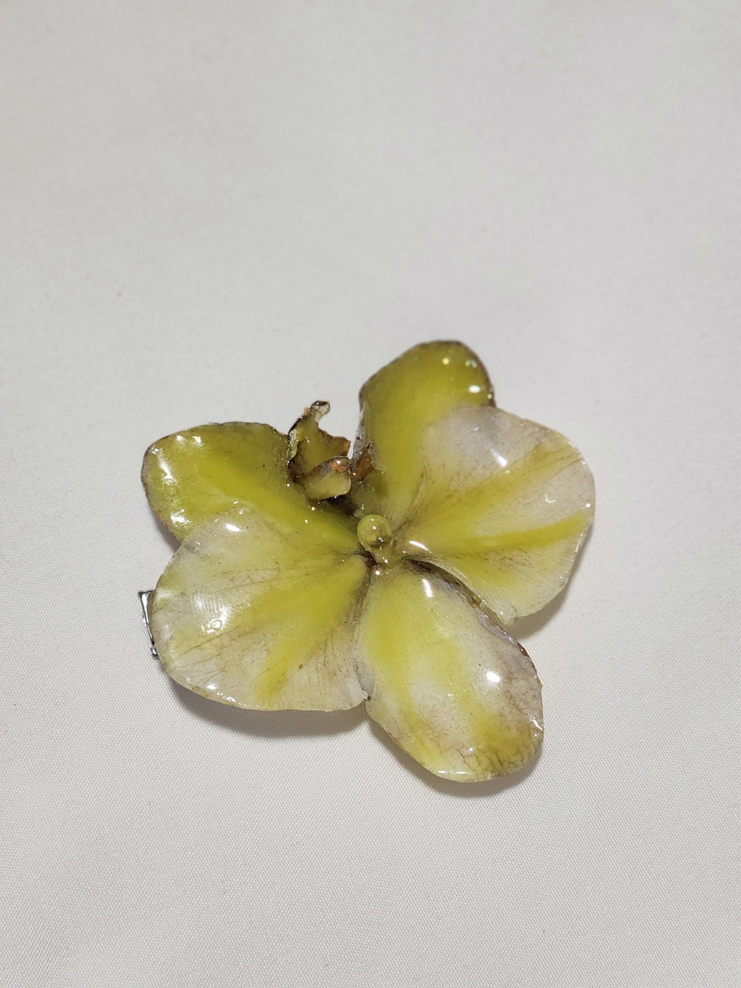 clip de orquídea amarilla