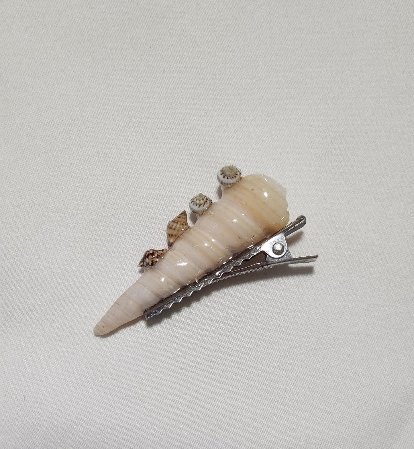 hebilla de caracol