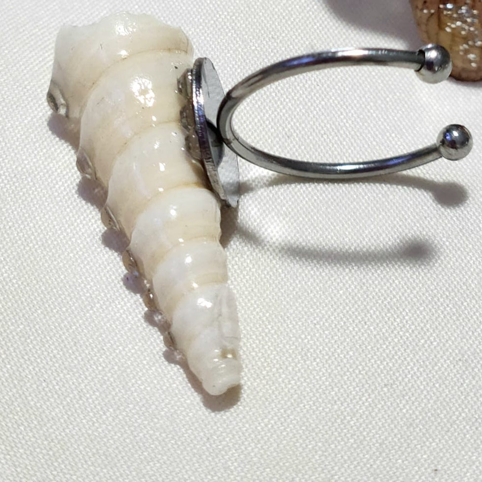 anillo de caracol