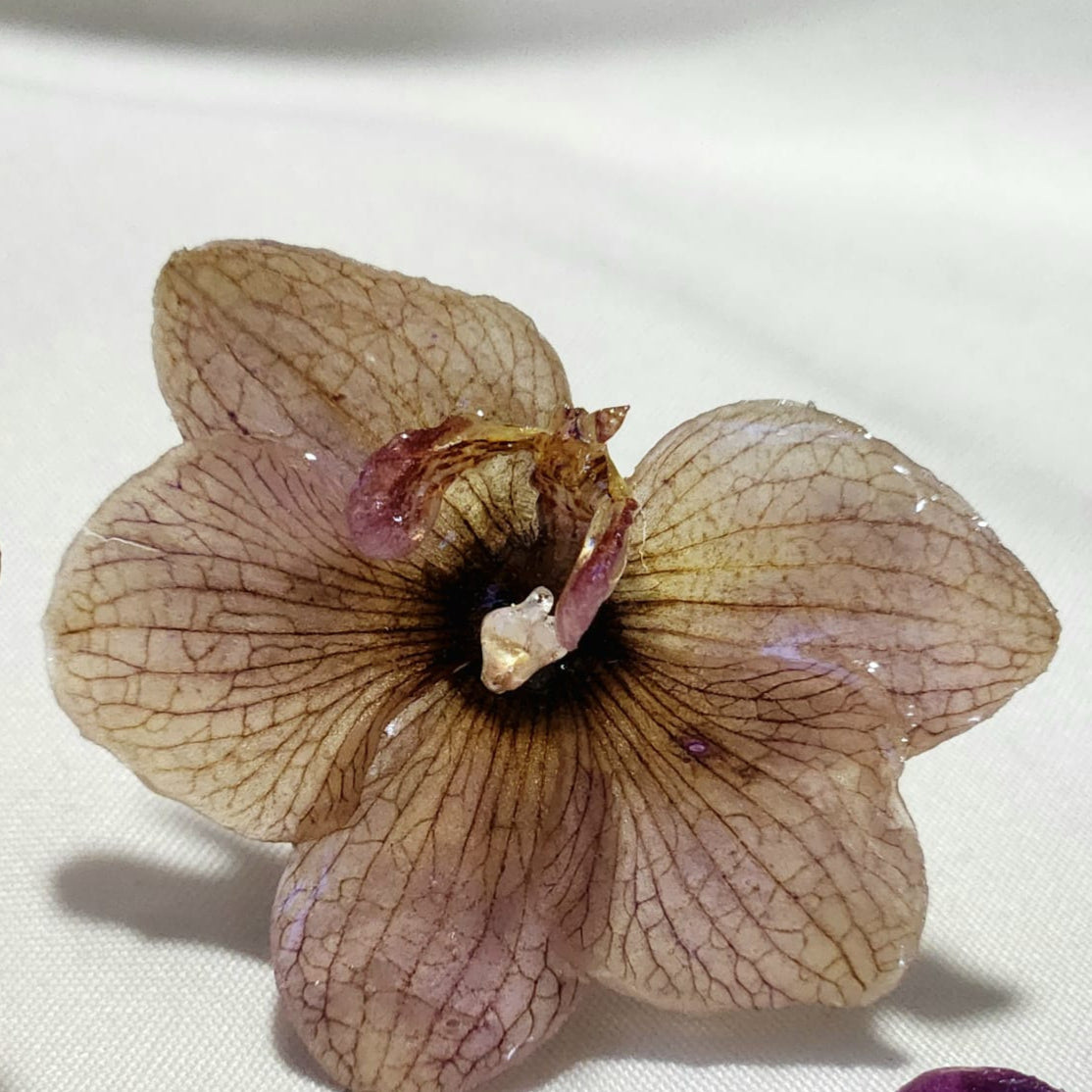 anillo de mini orquídea