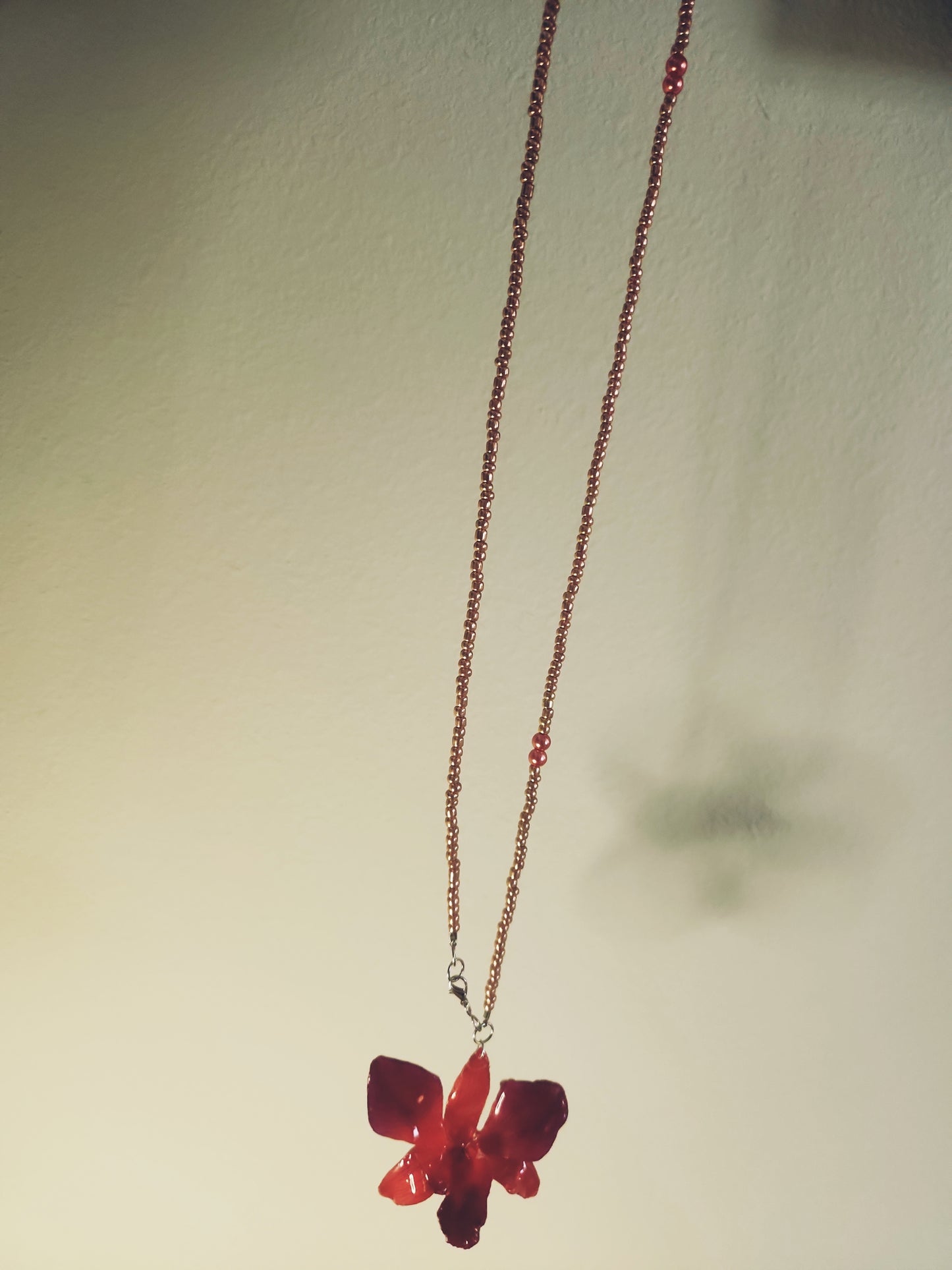 collar multiuso