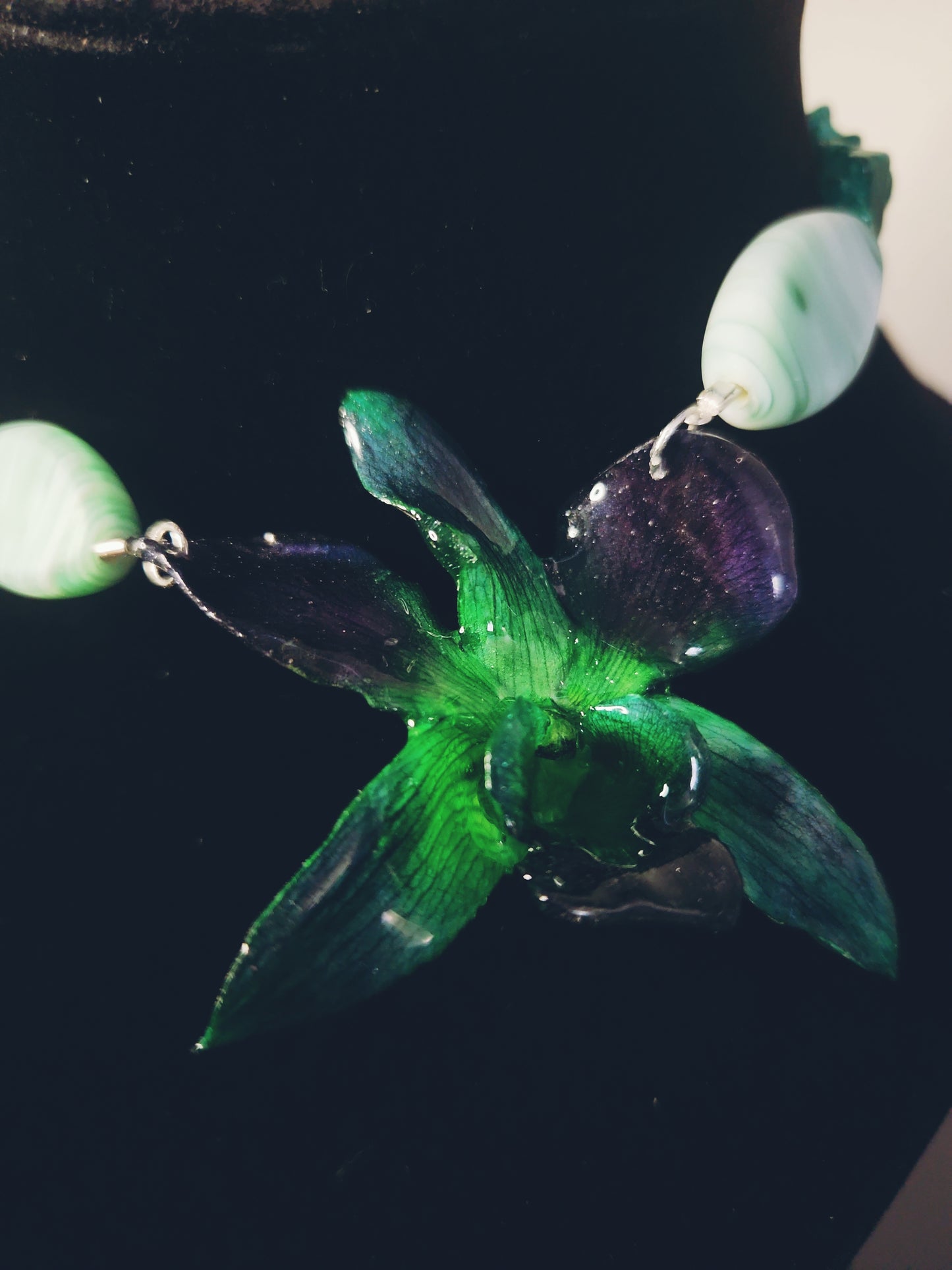 Orquídea esperanza