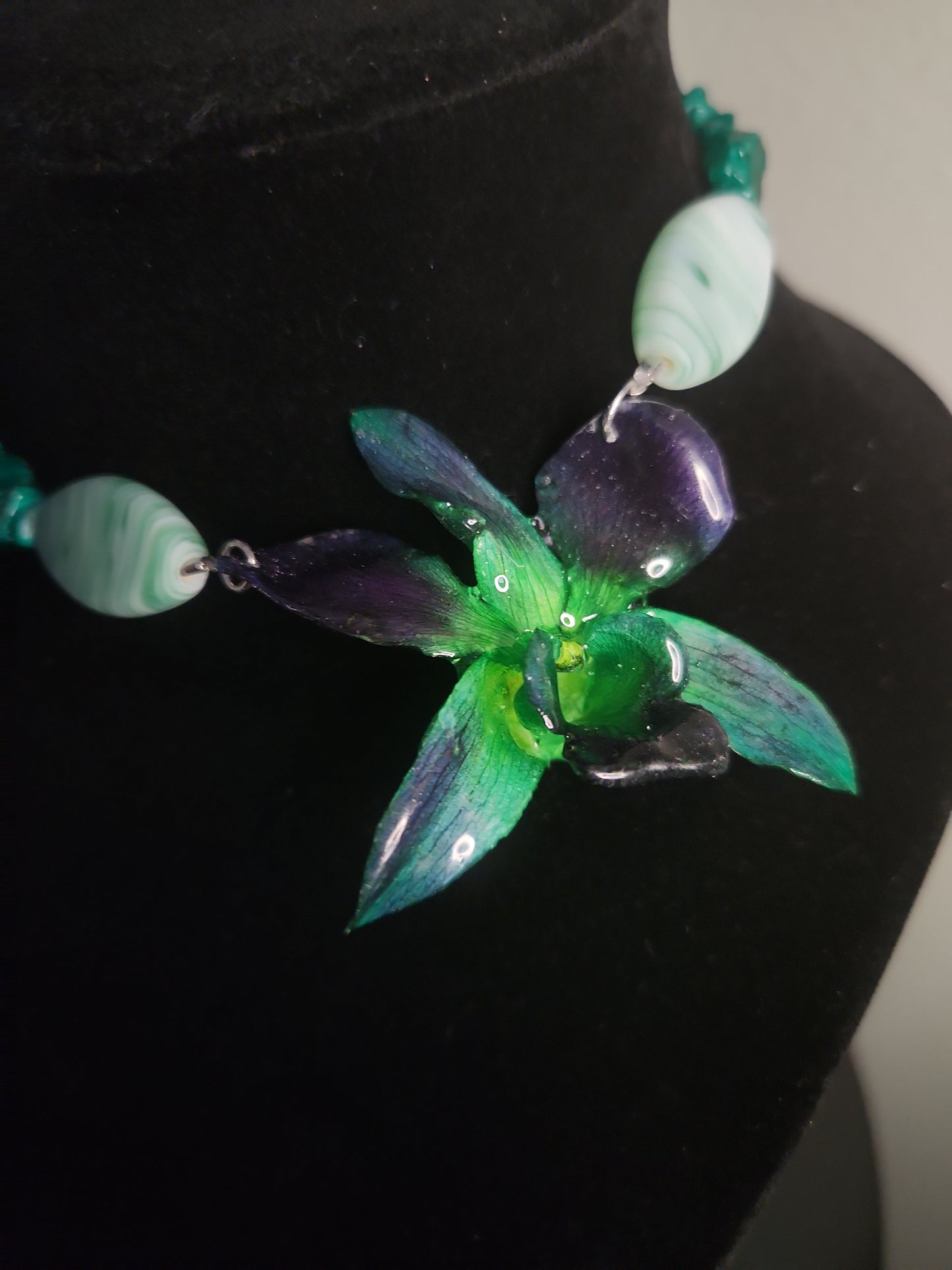 Orquídea esperanza