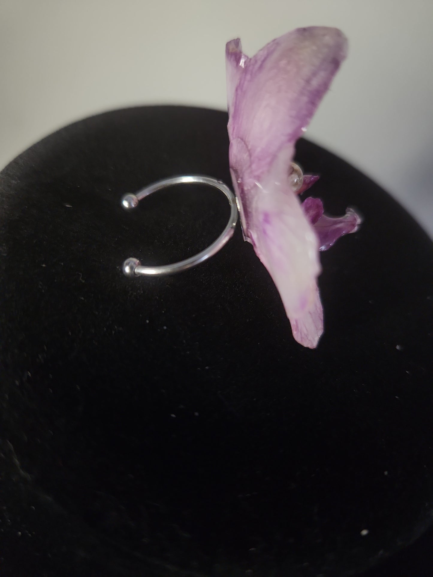 anillo de hada