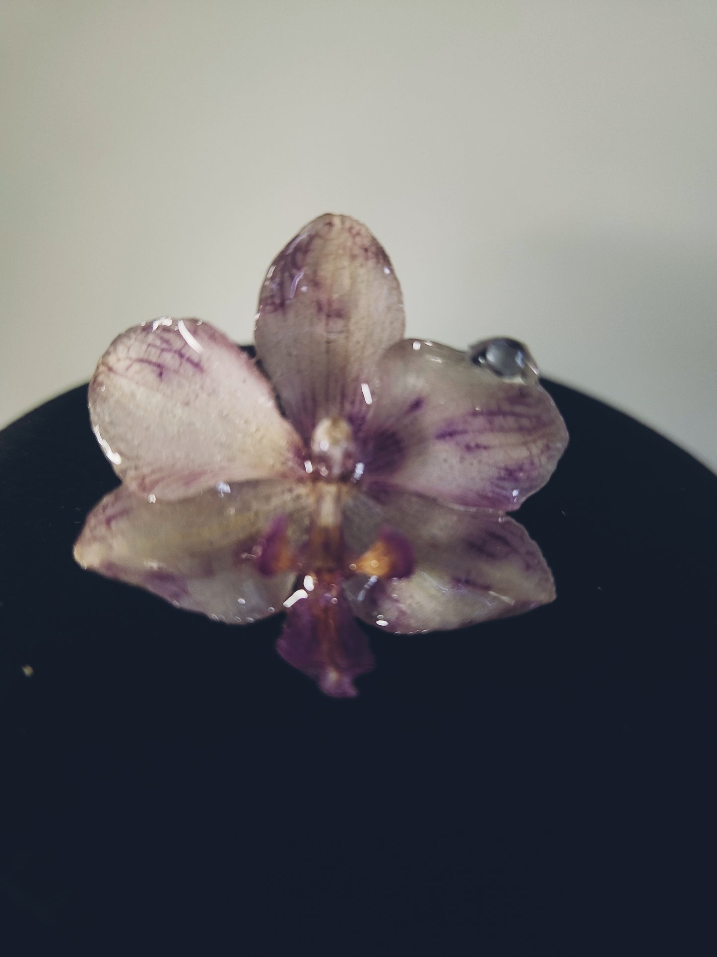 anillo de princesa