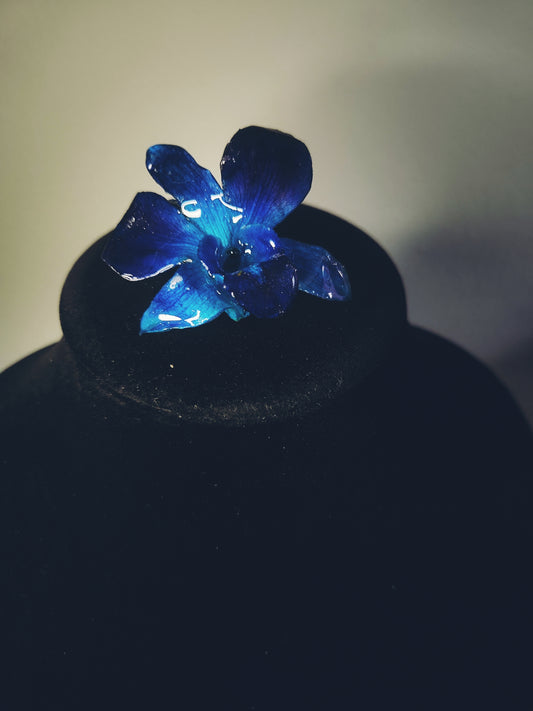 anillo azul