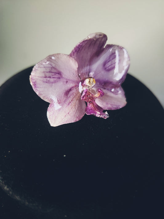 anillo de hada