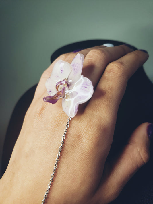 anillo con cadena